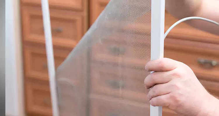 Privacy Mesh Screen Door Installation in Coconut Creek, FL
